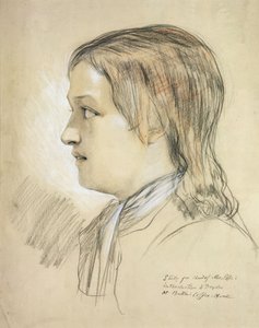 Estudo para o chefe de Alex Pope (1688-1744) introdução a Dryden, no Butlers Coffee House (lápis, giz e carvão sobre papel) de English School