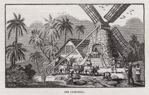 Produção de açúcar (gravura) de English School