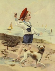 Férias de verão de English School