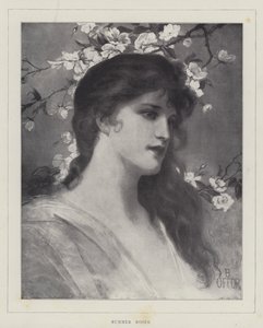Rosas de Verão (litho) de English School