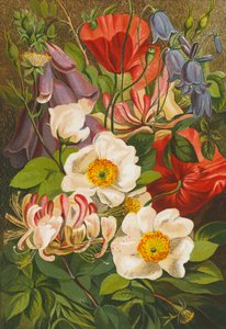 Flores de verão (litografia a cores) de English School