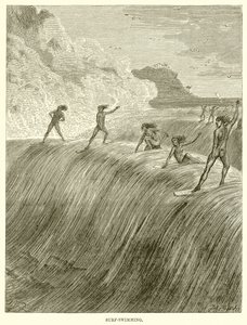 Surf-Natação de English School