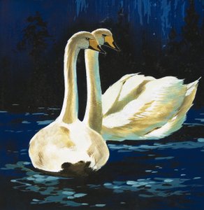 Cisnes de English School