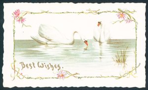 Cisnes no lago, cartão de Natal de English School