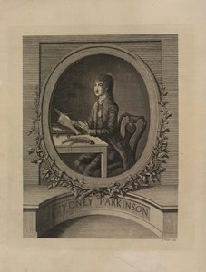 Sydney Parkinson, frontispício de 