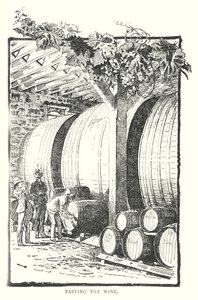 Provar o vinho (gravura) de English School