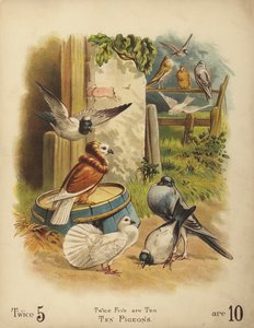 Dez Pombos (cromolitho) de English School