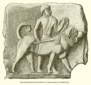 Tablet de Terracota da Babilônia, Representando um Cão Indiano de English School