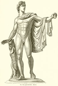 O Apolo Belvidere. (Roma) de English School