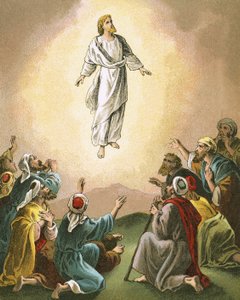 A ascensão
