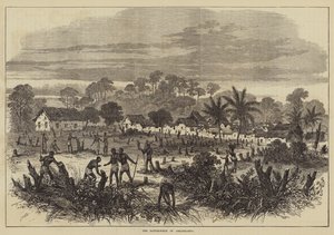 O Campo de Batalha de Abrakrampa (gravura) de English School
