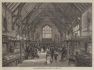 O Museu Blackmore, Salisbury (gravura) de English School