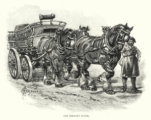 O Cavalo da Cerveja (gravura) de English School