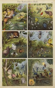 O Baile das Borboletas (cor litho) de English School