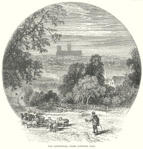 A Catedral, vista da colina de Canwick (gravura) de English School