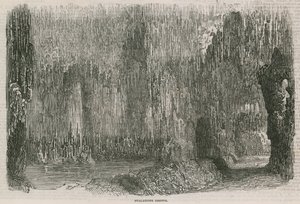 O Coliseu - gruta de estalactites de English School
