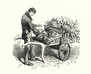 O Costermonger (gravura) de English School