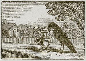 O corvo e o cântaro (gravura) de English School