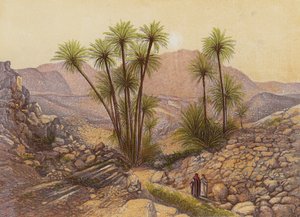 O deserto do Sinai (litografia a cores) de English School