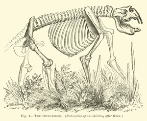 O Diprotodon de English School