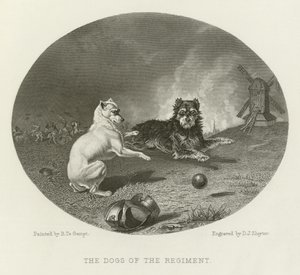 Os cães do regimento de English School