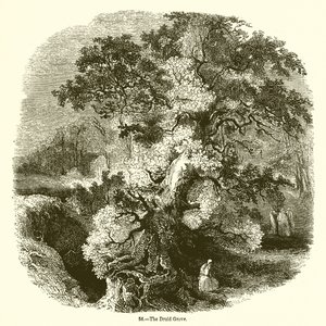 The Druid Grove de English School