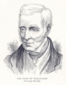 O duque de Wellington de English School