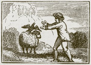 A águia e o corvo (gravura) de English School