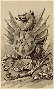 O Emblema do País de Gales (litho) de English School