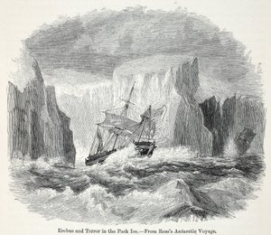 O Erebus e o Terror Entre Icebergs de English School
