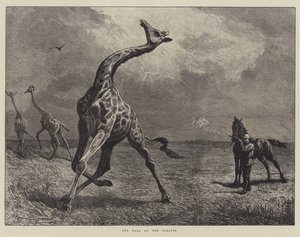 A Queda da Girafa (gravura) de English School
