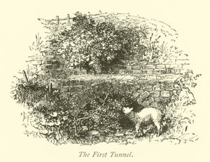 O primeiro túnel de English School