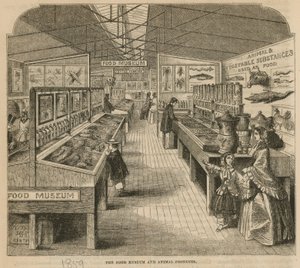 O Museu do Alimento e Produtos Animais, South Kensington Museum de English School