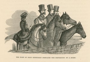 A forma do pescoço indica geralmente a disposição de um cavalo (gravura) de English School