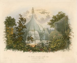A, fonte, cercar, um, mármore, estátua, em, a, Coloseum, regents, parque de English School