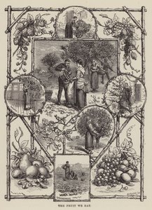 A Fruta que comemos (gravura) de English School