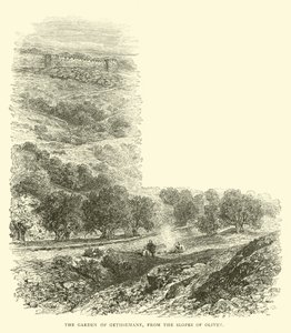 O Jardim do Getsêmani, das encostas do Olivet de English School