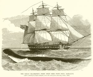 A Grande Serpente Marinha quando vista pela primeira vez a partir do HMS Daedalus de English School