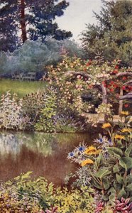 O jardim de ervas: Ervas à beira da água (litografia a cores) de English School