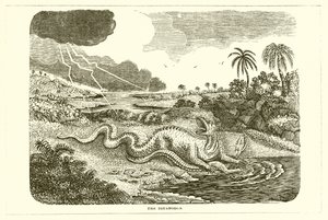 O Iguanodon de English School