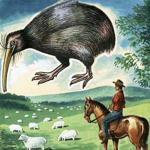 O Kiwi, emblema da Nova Zelândia de English School