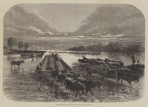 A Terra do Petróleo, Transporte de Barris em Oil Creek (gravura) de English School