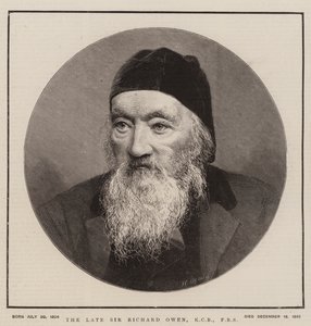 O falecido Sir Richard Owen, KCB, FRS (gravura) de English School