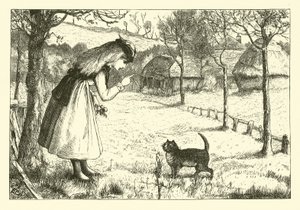 O gato preguiçoso de English School