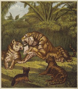A Recepção do Leão (cor litho) de English School