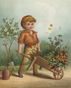 O Pequeno Jardineiro (chromolitho) de English School