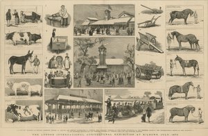 Exposição Agrícola Internacional de Londres em Kilburn, julho de 1879