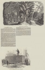 O Comércio de Mogno, Venda de um Monster Log na Birkenhead (gravura) de English School