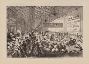 Exposição metropolitana de raízes no Agricultural Hall (gravura) de English School