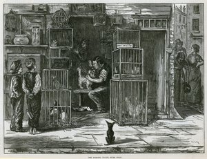 The Morning Toilet, Seven Dials de English School